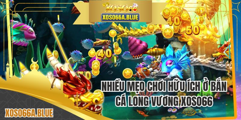 Nhiều mẹo chơi hữu ích ở bắn cá Long Vương XOSO66