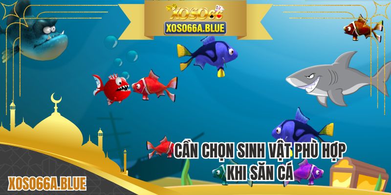 Cần chọn sinh vật phù hợp khi săn cá