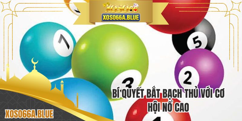 Bí quyết bắt bạch thủ với cơ hội nổ cao