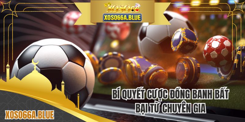 Bí quyết cược đồng banh bất bại từ chuyên gia