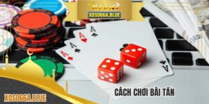 Cách Chơi Bài Tấn - Newbie Nắm Luật Lệ Cơ Bản Đến Nâng Cao