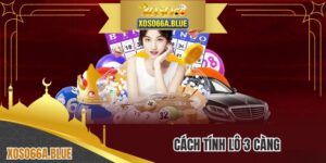 Cách Tính Lô 3 Càng - Khám Phá Về Biến Thể Xổ Số Kiến Thiết