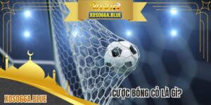 Cược Bóng Cỏ Là Gì? Giải Trí Gay Cấn Cùng Bộ Môn Vua