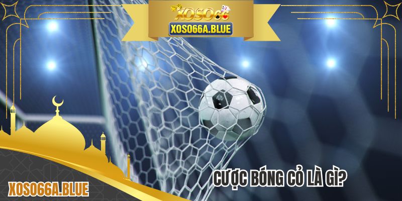 Cược Bóng Cỏ Là Gì? Giải Trí Gay Cấn Cùng Bộ Môn Vua