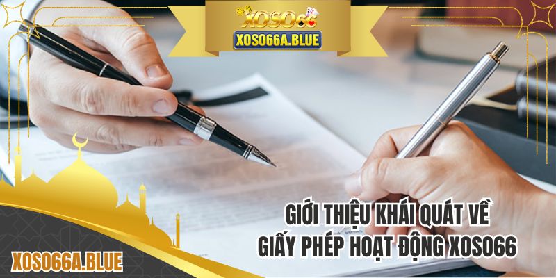 Tổng quan thông tin về giấy phép kinh doanh