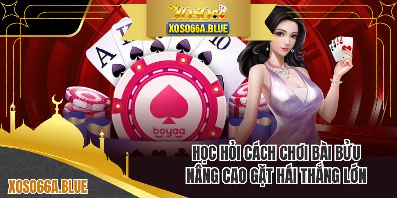 Học hỏi cách chơi bài bửu nâng cao gặt hái thắng lớn
