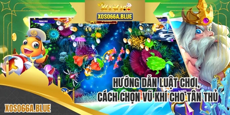 Hướng dẫn luật chơi, cách chọn vũ khí cho tân thủ