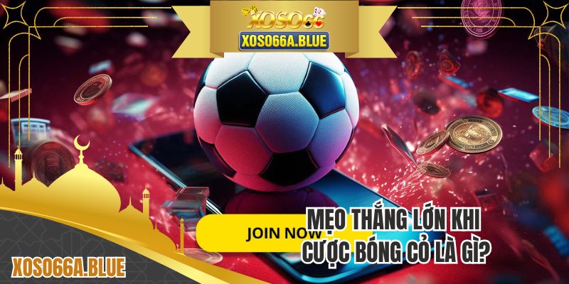 Mẹo thắng lớn khi cược bóng cỏ là gì?