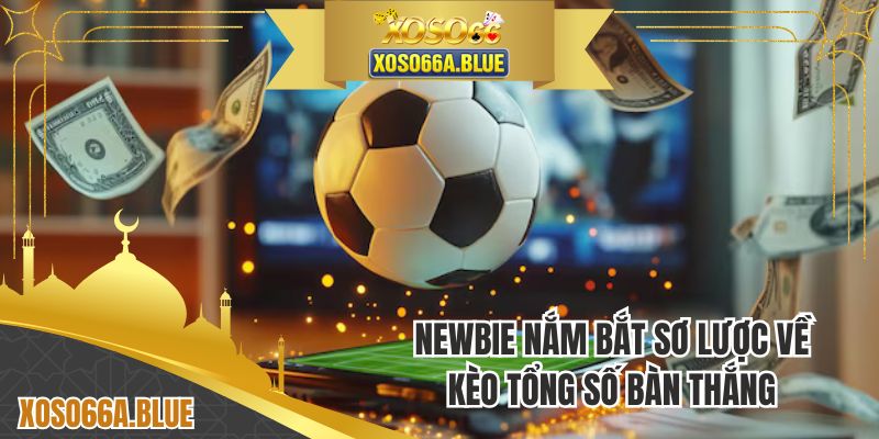 Newbie nắm bắt sơ lược về kèo tổng số bàn thắng