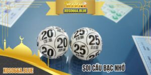 Soi Cầu Bạc Nhớ - Khám Phá Nhanh Cách Tìm Bạch Thủ Đẹp