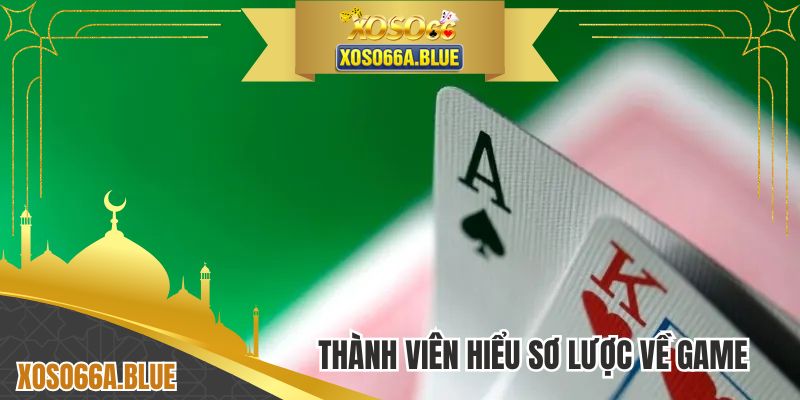 Thành viên hiểu sơ lược về game