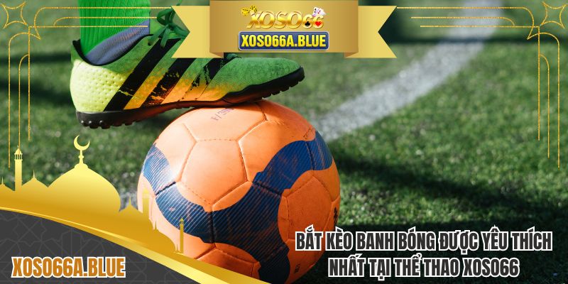 Bắt kèo banh bóng được yêu thích nhất tại thể thao XOSO66