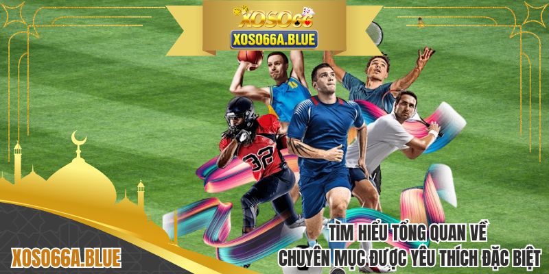 Tìm hiểu tổng quan về chuyên mục được yêu thích đặc biệt