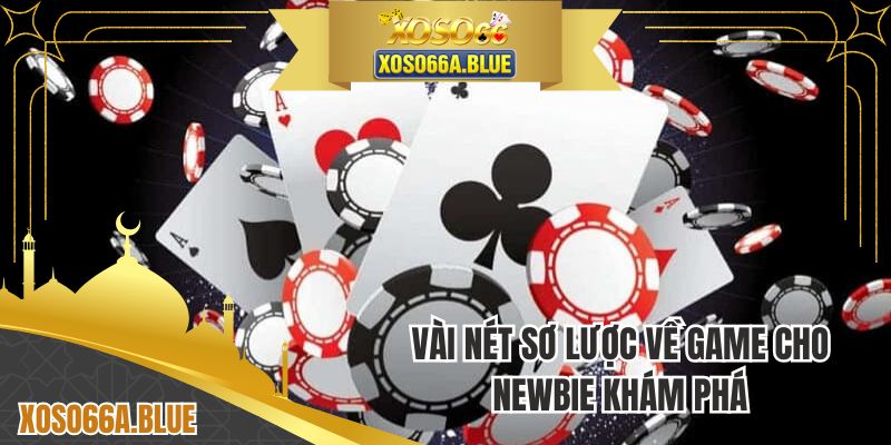 Vài nét sơ lược về game cho Newbie khám phá